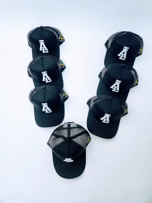 Ambitiouslion hats